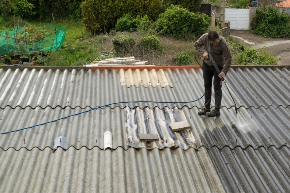  Roof Cleaning Services