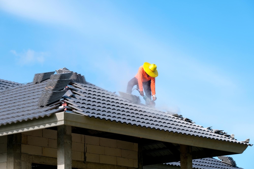  Roof Cleaning Services